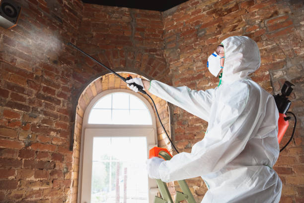 Asbestos and Lead Testing During Mold Inspection